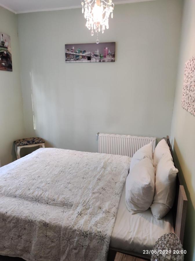 Boutigue House With Terrace And Garden Free Parking Appartement