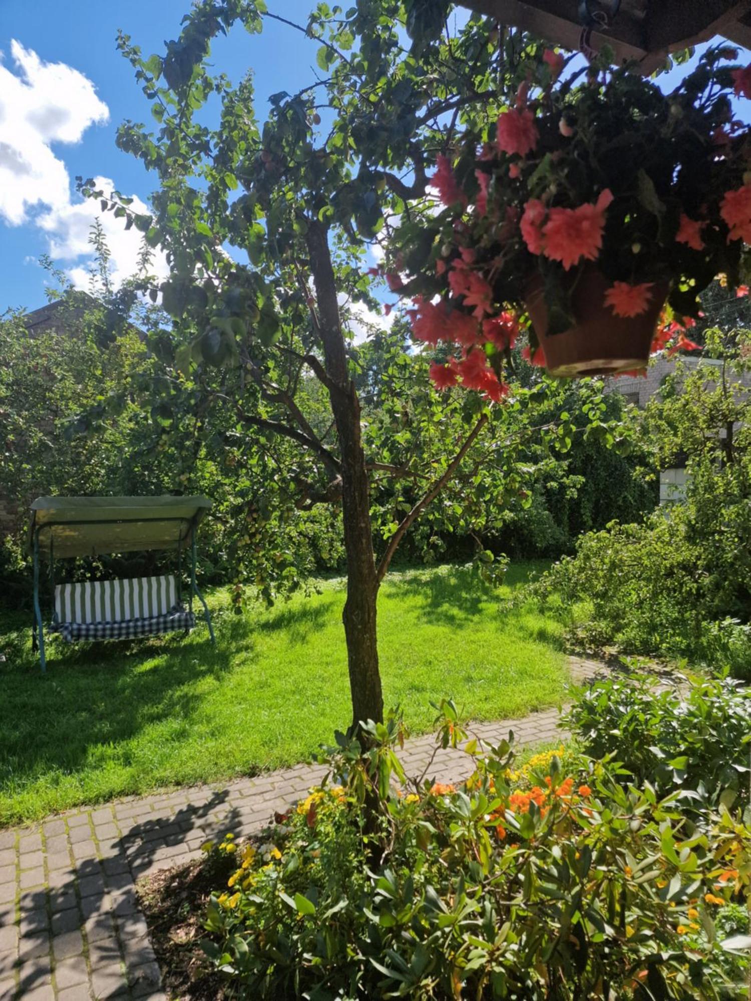 Appartement Boutigue House With Terrace And Garden Free Parking Riga